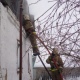 На пожаре в Курской области погиб 87-летний пенсионер