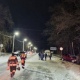 В Курской области погиб молодой водитель, врезавшись в дерево