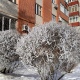 В Курской области 24 января ожидаются снег, туман и потепление