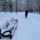 В Курской области 28 января ожидаются туман и снег
