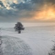 В Курской области 30 января вслед за 10-градусным морозом потеплеет до +1 градуса