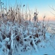 В Курскую область возвращаются морозы до -16 градусов