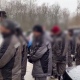 В Курской области задержали 15 нелегальных трудовых мигрантов