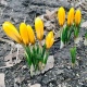 Какая весна ожидается в Курской области