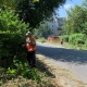 В центре Курска после жалоб горожан косят бурьян