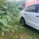 В Курской области полиция требует срочно сообщить об оставленных в приграничье автомобилях