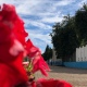 В Курской области 8 сентября будет до 28 градусов тепла