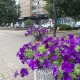 В Курской области 21 сентября ожидается от +5 до +26 градусов