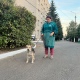В Курске собака Муха, дважды сбежавшая от войны, стала звездой интернета