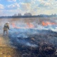 В Курской области вероятны риски лесных пожаров