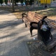 Жители Курска обсуждают странную реконструкцию парка Бородино