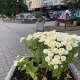 В Курской области 5 октября ожидаются дожди и до +22 градусов
