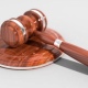 В Курской области суд оштрафовал главу района за невыполнение предписания