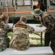 В Курской области отметили 12-летие местного поисково-спасательного отряда «Лиза Алерт»