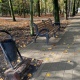 В Курске в парке Бородино до конца года заменят скамейки и урны