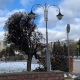 В Курске на Театральной площади и в парке Бородино ветер повалил деревья