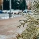 В Курской области 7 ноября ожидаются дождь, туман и потепление