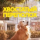 Подари мне вечерок-вечерочек: Wink.ru представляет ноябрьский кинокалендарь