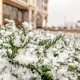 В Курской области 17 ноября ожидаются температурные качели от -2° до +7°