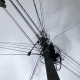 В Курске упала остановка и возникли перебои с электричеством из-за штормового ветра