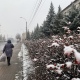 В Курской области 23 ноября ожидаются дождь, мокрый снег и сильный ветер
