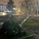В Курске ветер повалил 22 дерева и повредил несколько крыш и остановок