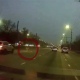 В Курске движение транспорта остановил выскочивший на дорогу оленёнок