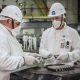 Одобрен проект производства медицинских изотопов на Курской АЭС