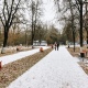 В Курской области 29 ноября пройдет мокрый снег и опустится туман