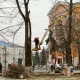 В Курске на площади Перекальского пилят сухие деревья