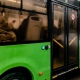 В Курске выявили 48 нарушений в работе общественного транспорта