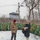 В Курске незаконно торгуют новогодними елками