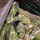 Хинштейна возмутили ящики с гнилыми продуктами в магазине Курска