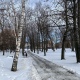 В Курской области 5 января ожидаются снег, туман и до 7°С мороза