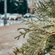8 января в Курской области ожидают туман и дожди