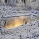В Курской области 13 января обещают до 6 градусов мороза
