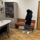 В Курске сотрудница Wildberries похищала товары
