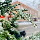 На Курскую область обрушится ледяной дождь