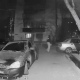 В Курске жители встали на защиту парня, проколовшего колеса припаркованного у подъезда авто