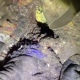 В Курской области расследуют убийства мирных жителей солдатами ВСУ