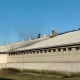 Пожарные в Курской области потушили свинокомплекс