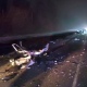 Разыскиваются свидетели ДТП с погибшими в Курской области