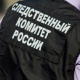 В Курской области по факту пропажи 9-летней школьницы СК возбудил уголовное дело по статье «убийство»