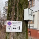 В Курске зарядку для электромобиля разместили на дереве