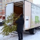В Курске до 31 января работают пункты приема новогодних деревьев