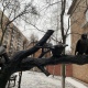В Курской области 1 февраля ожидаются дождь, туман и до +6 градусов