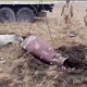 Ракету «ATACMS» ликвидировали в Курской области