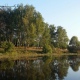 В Курской области администрация незаконно продала землю под водоемом