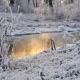 В Курской области 9 февраля ожидается до 12 градусов мороза