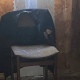 ВС РФ: В Курской области ВСУ зверски убили ветерана Великой Отечественной войны